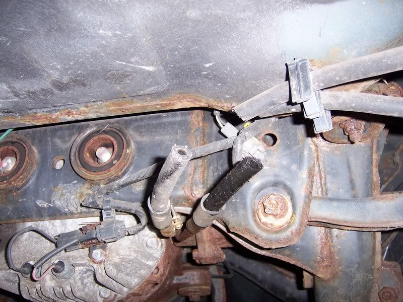 [Image: 101_0046.jpg]