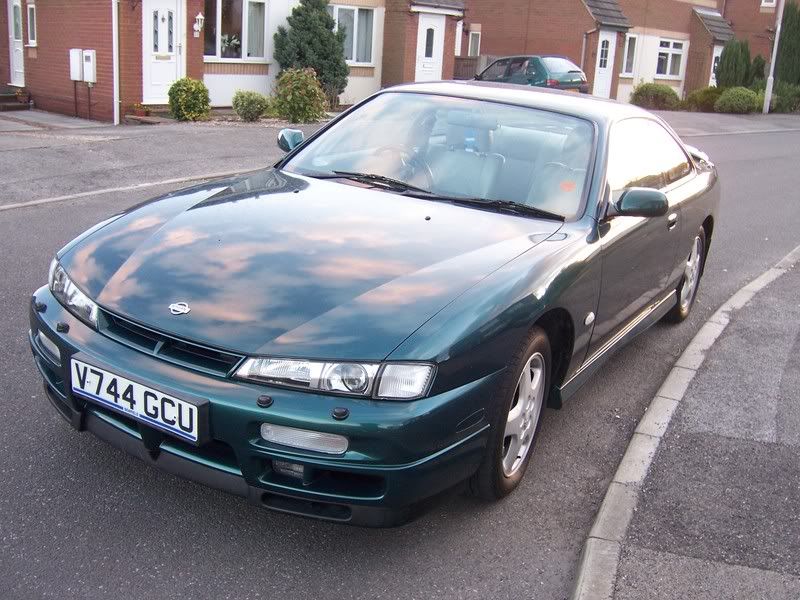 [Image: 101_0080.jpg]