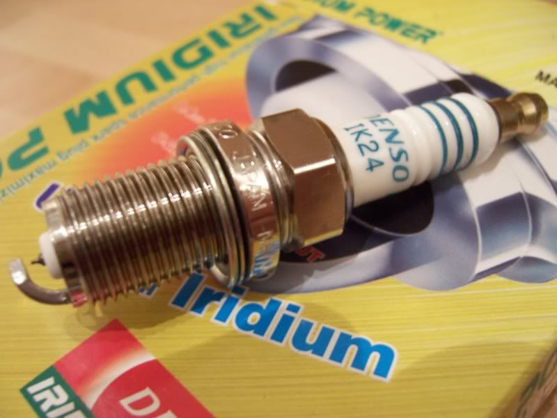 [Image: 101_0182.jpg]