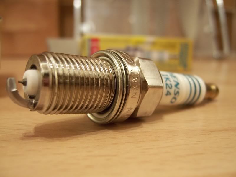 [Image: 101_0184.jpg]