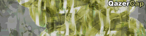 oldbutawesome.gif