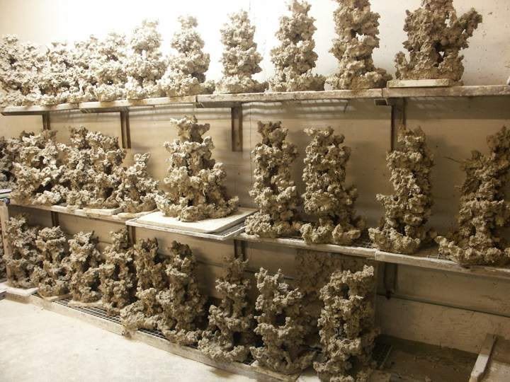 Ceramic Reef Rock W/ Evolution Aquatics Michigan Reefers