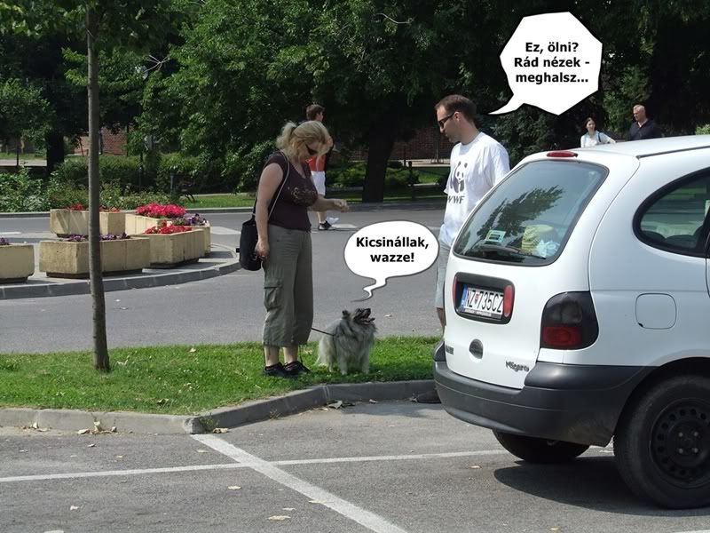A2.jpg