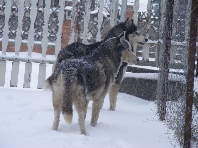 DSCF6686.jpg