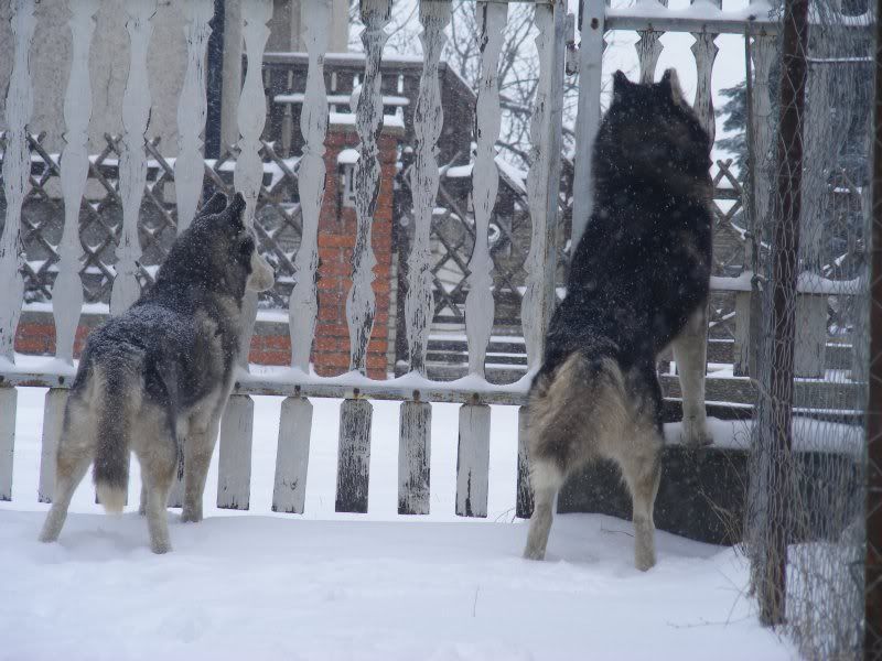 DSCF6689.jpg