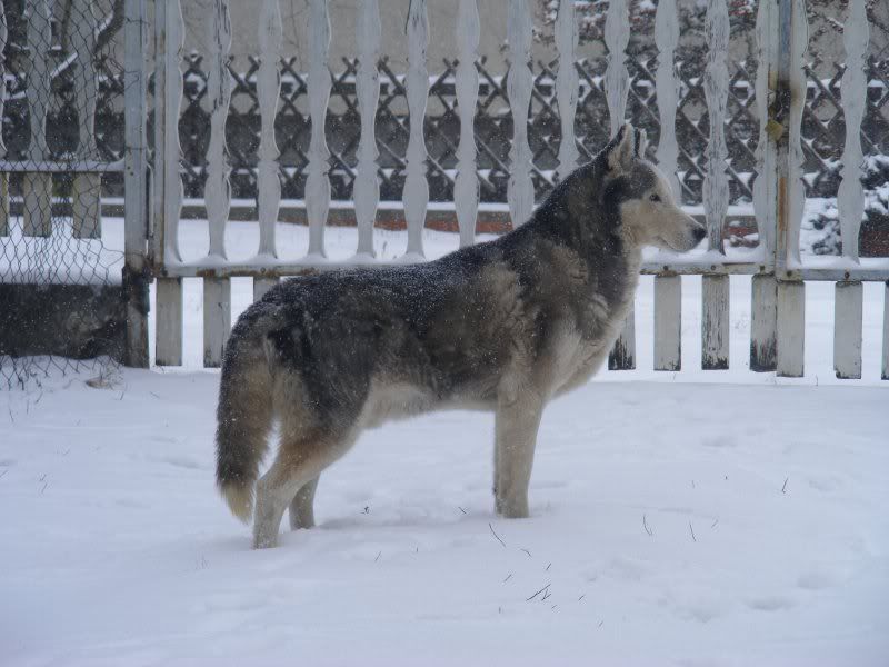 DSCF6696.jpg