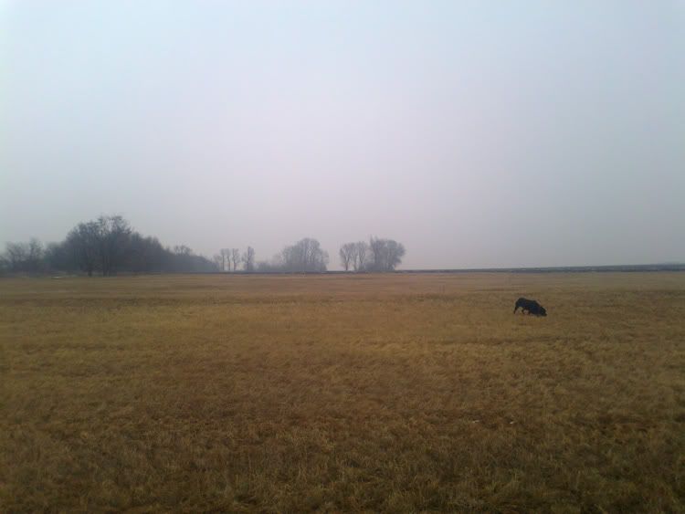 w_1224_2.jpg
