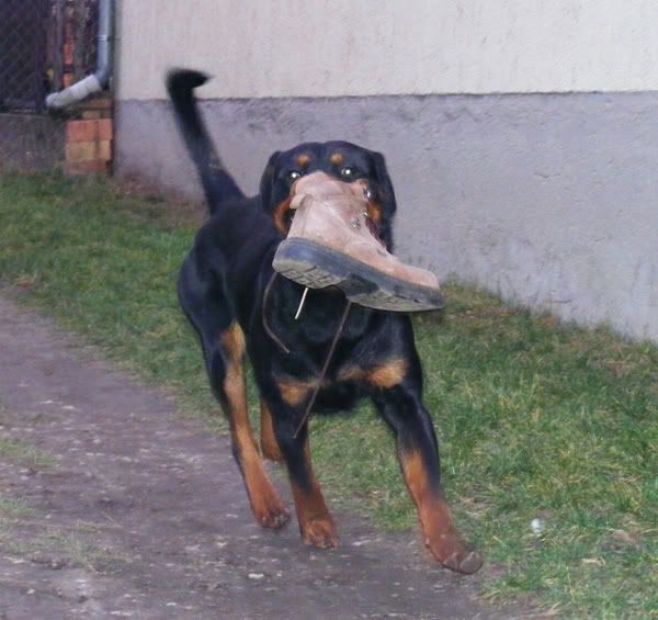 w_apport3.jpg