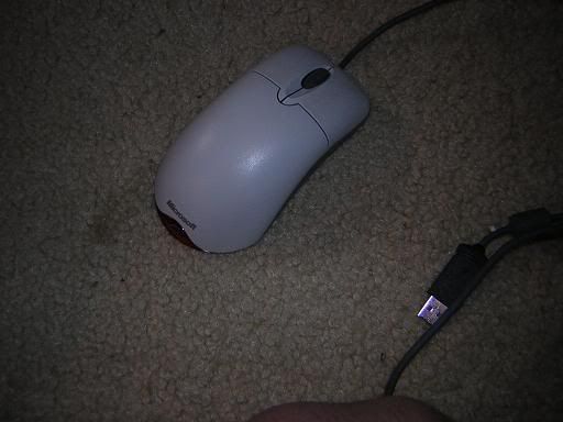 mouse.jpg
