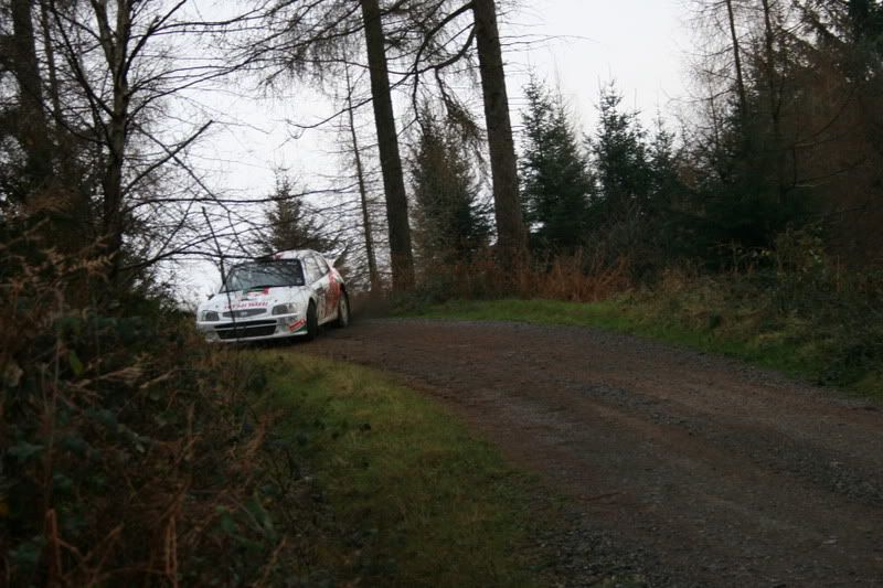 grizedalestages1-13.jpg