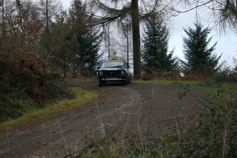 grizedalestages1-18.jpg