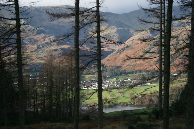 grizedalestages1-5.jpg