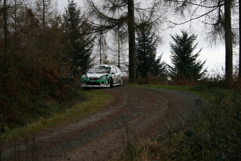 grizedalestages1-6.jpg