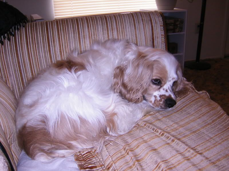 Image hosted by Photobucket.com