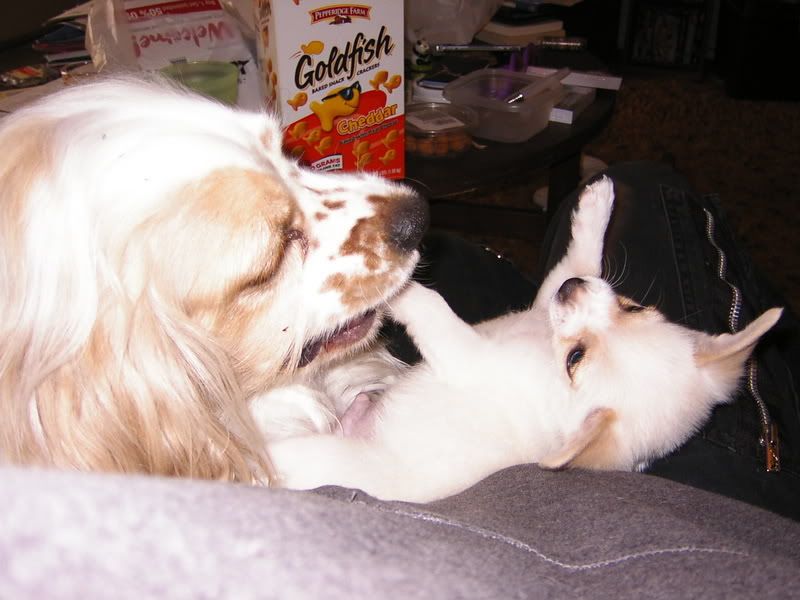 Image hosted by Photobucket.com