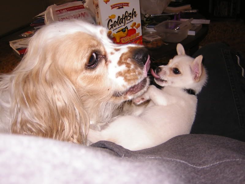 Image hosted by Photobucket.com