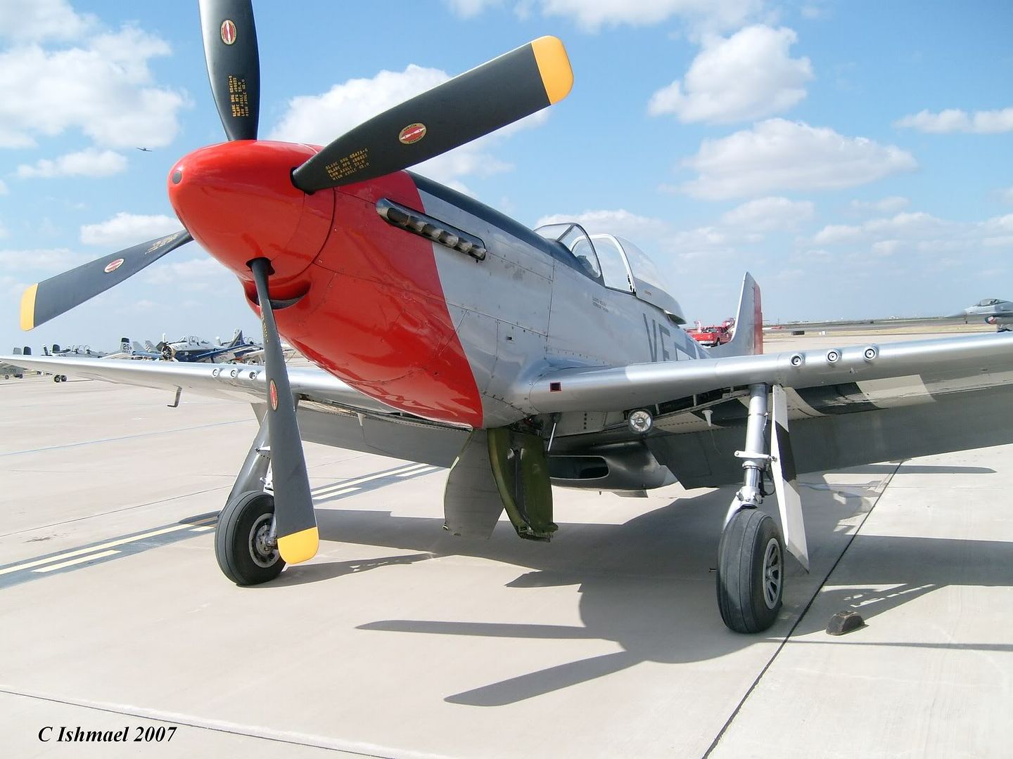 P-51_CAF07_noseSIG.jpg