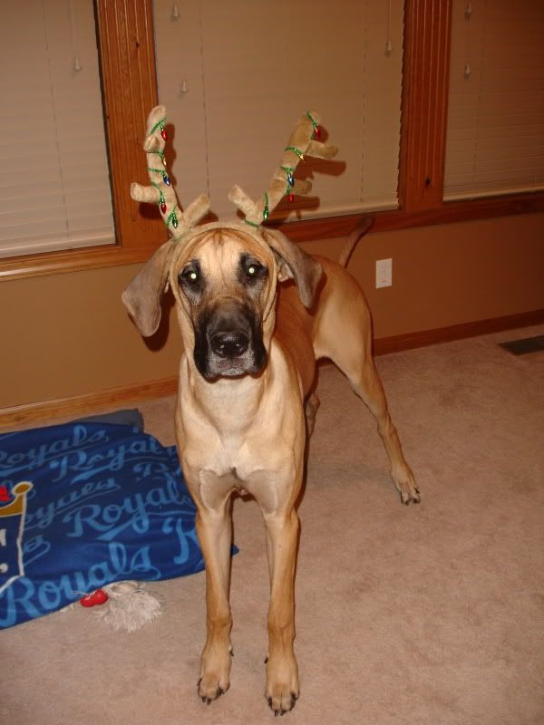 Ted's first christmas