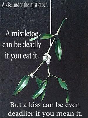 Mistletoe can be deadly