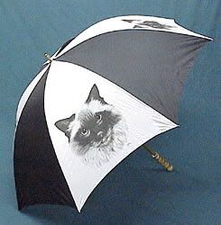 pink kitty umbrella