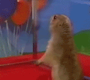 1183096220824.gif
