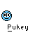 311.gif