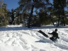 sledding