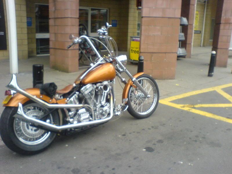 DSC00317.jpg