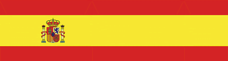 ¡¡VIVA ESPAÑA!!