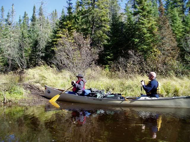 beaver dam