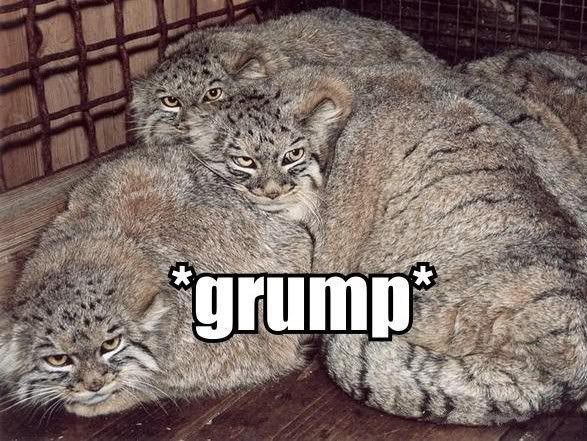 grump.jpg