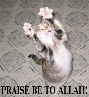 allahkitty.jpg