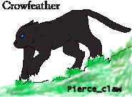 Crowfeather1.gif