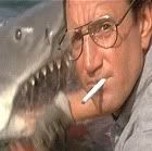 jaws.jpg