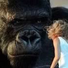 king_kong.jpg