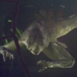 thexindi_014_zpsf25d4f33.jpg