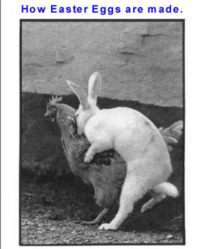 easter07.jpg