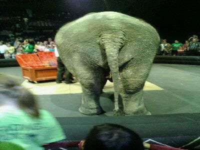 circus08.jpg