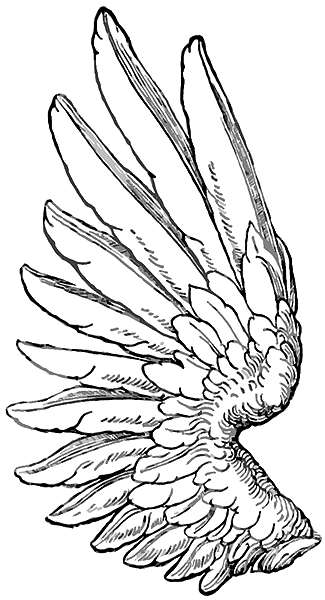 xxx tattoos_26. wing tattoo design