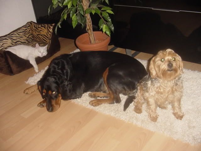 DSC02000.jpg