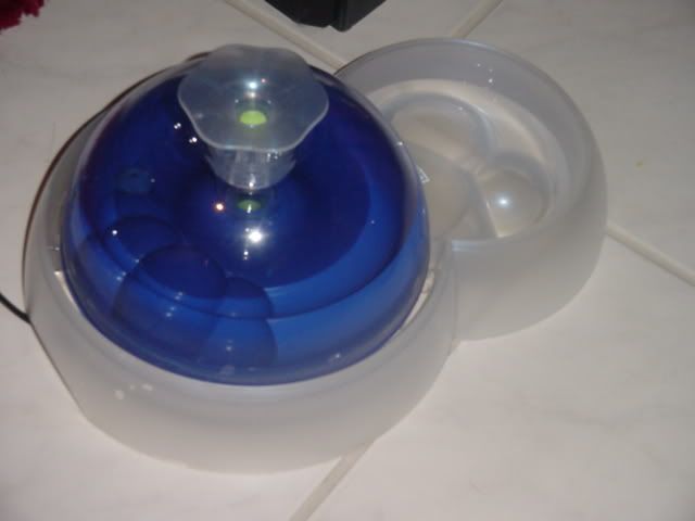 DSC02050.jpg