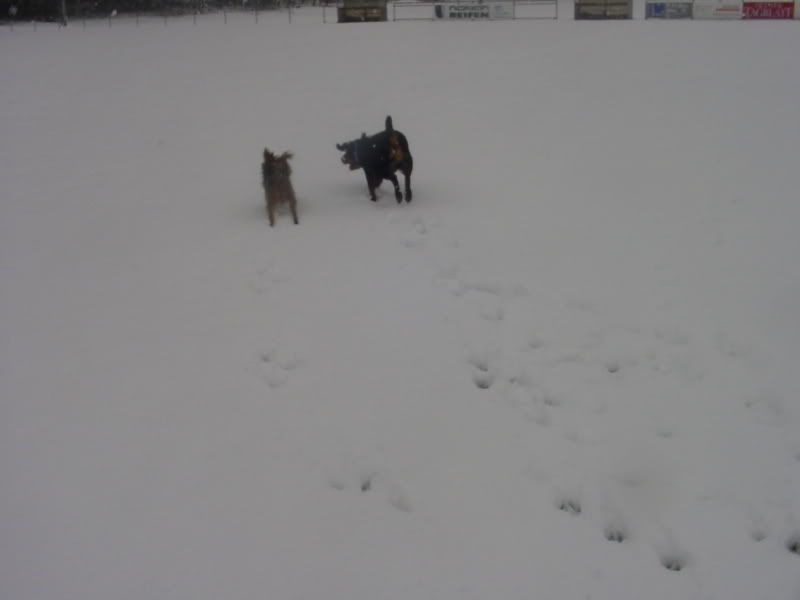 DSC02257.jpg