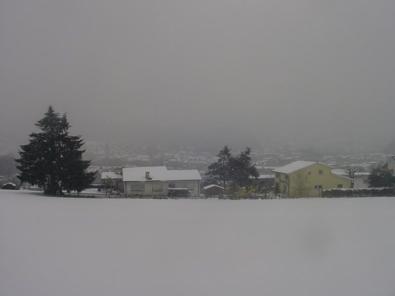 DSC02269.jpg