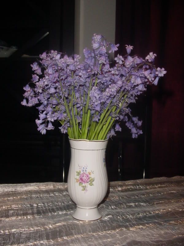 DSC02331.jpg