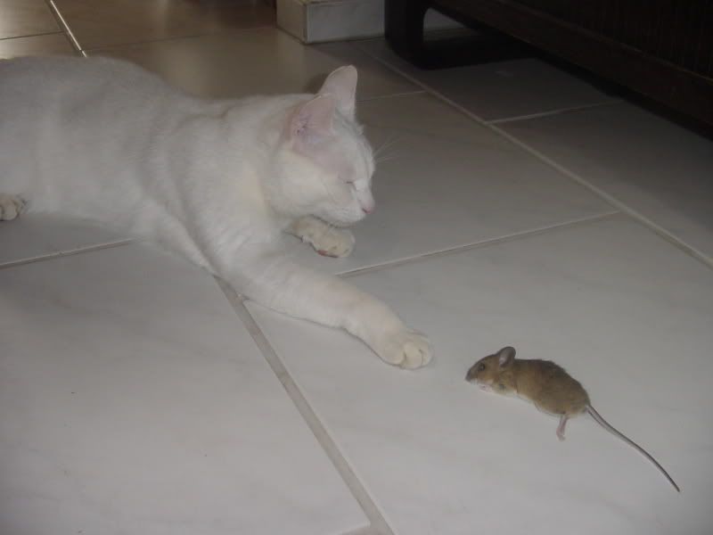 DSC02369.jpg