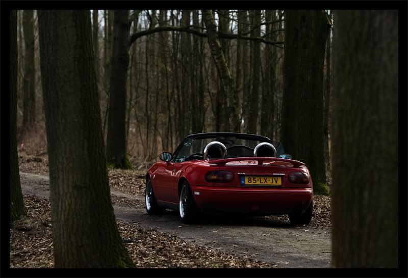 [Image: MX-527220103.jpg]