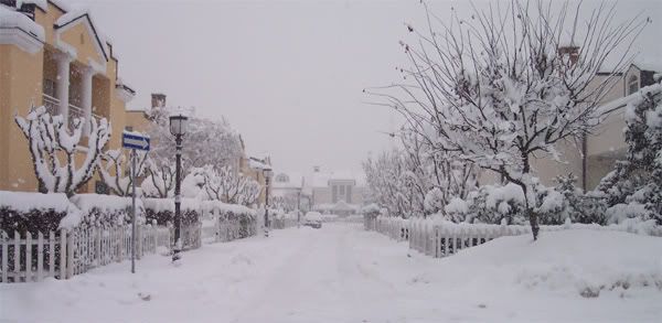 neve-viscontina.jpg