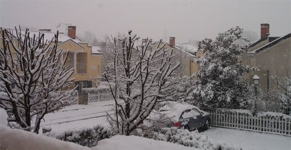 viscontina-neve.jpg