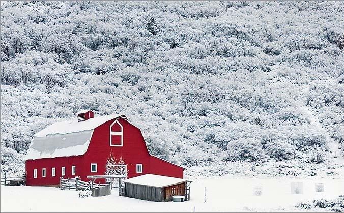A red barn along McClain Flats Road near Aspen, Colo, is surrounded by snow Nov 14 after a overnight storm
