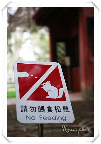 禁止餵食-松鼠